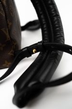 Palm Springs PM Monogram Back Pack - Image 7