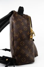 Palm Springs PM Monogram Back Pack - Image 5