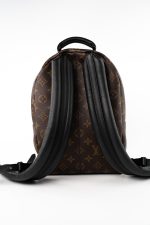 Palm Springs PM Monogram Back Pack - Image 9