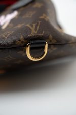 Louis Vuitton Monogram My LV World Tour Bumbag - Image 4