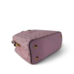 Louis Vuitton Capucines Nano Exotic Ostrich Pink - Image 9