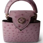 Louis Vuitton Capucines Nano Exotic Ostrich Pink - Image 11