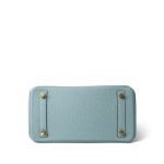 Birkin 25 Bleu Ciel Togo Gold Plated Y Stamp - Image 9