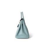 Birkin 25 Bleu Ciel Togo Gold Plated Y Stamp - Image 8